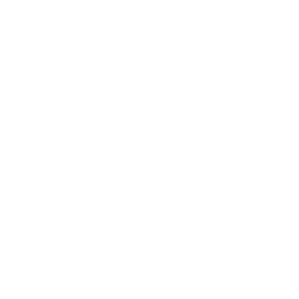 SAF Holland Logo