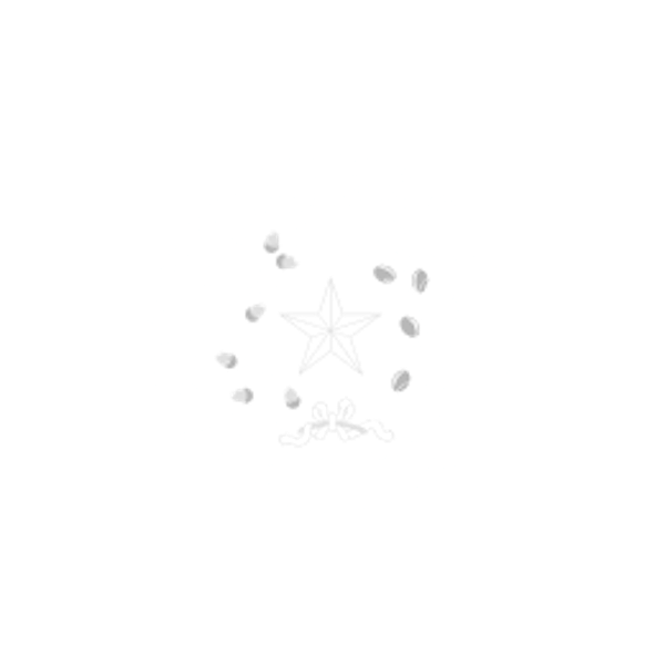 Texas Secretary of Texas Logo