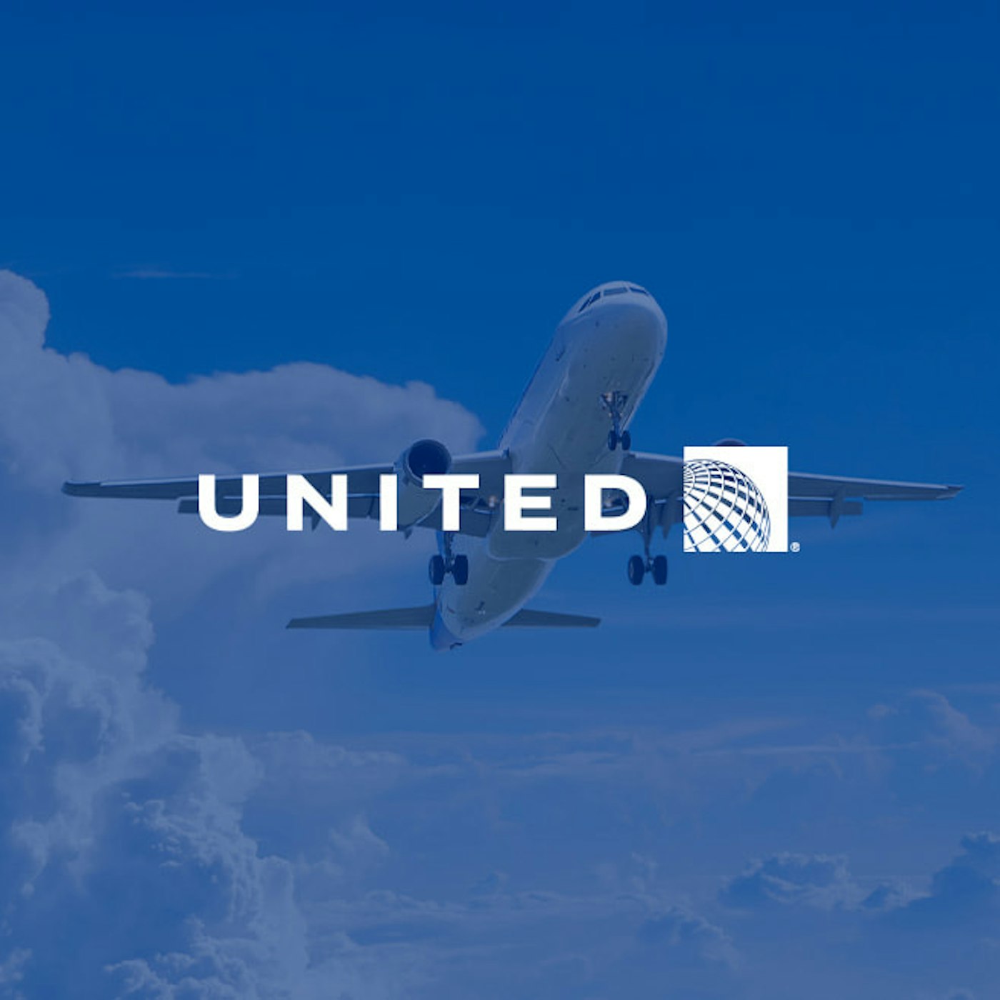 United Airlines customer quote image